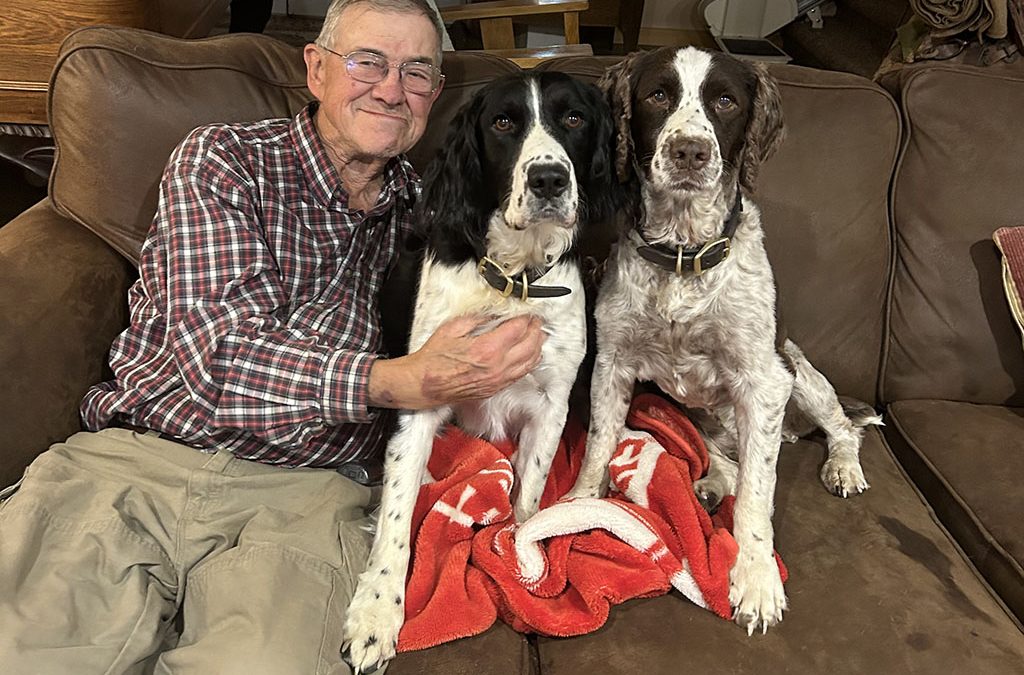 Pheasant Hunting & Grand Dogs 🐾
