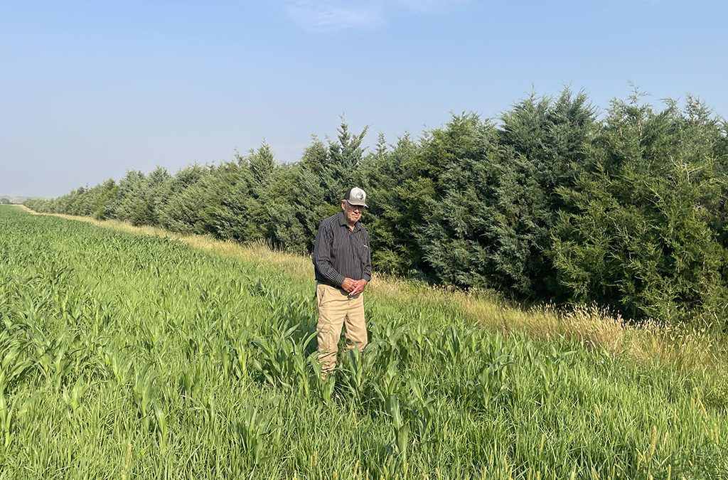 That’s “Farming” in Central South Dakota